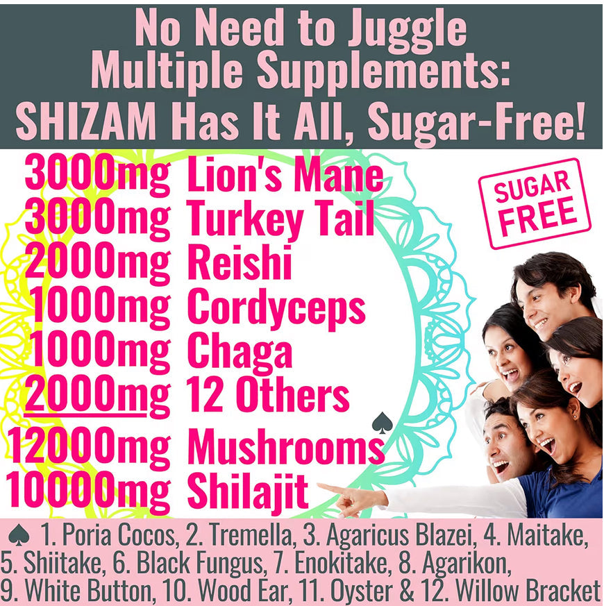 Shilajit + 17 Mushroom Complex Gummies | 22,000mg All-in-One Energy & Immunity Booster | Sugar-Free Peach Mango Flavor