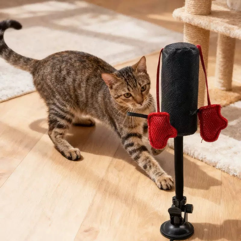 Cat Punching Bag — Let Your Cat Throw Punches !